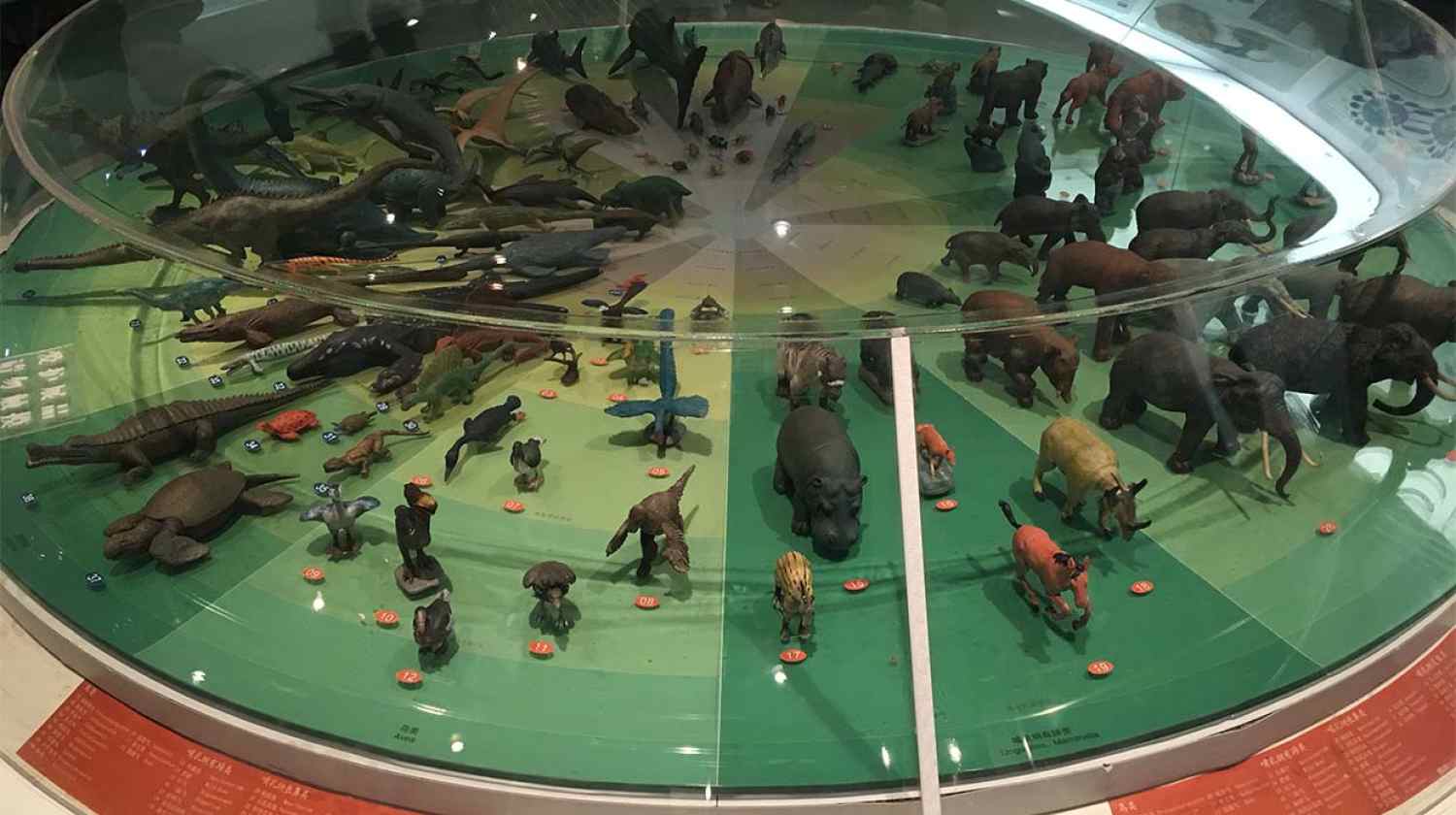 展厅设计|展馆设计|主题游乐馆设计|校园文化馆设计|多媒体展厅|文博馆设计|规划馆设计|展厅展馆设计施工公司