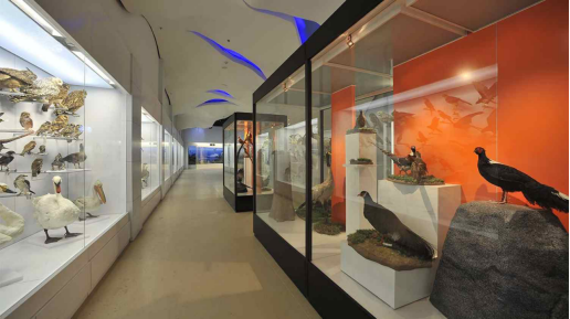 展厅设计|展馆设计|主题游乐馆设计|校园文化馆设计|多媒体展厅|文博馆设计|规划馆设计|展厅展馆设计施工公司